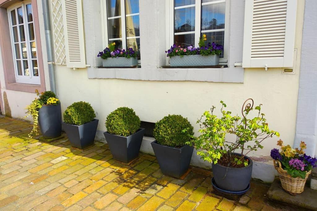 Pearl Studio Apart - King Bed - Netflix - Projector - Fast Wi-Fi Trier Exterior foto